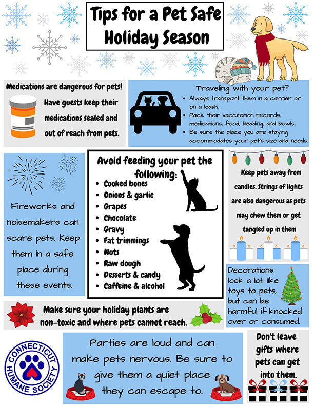 Pet Safety During the Holidays