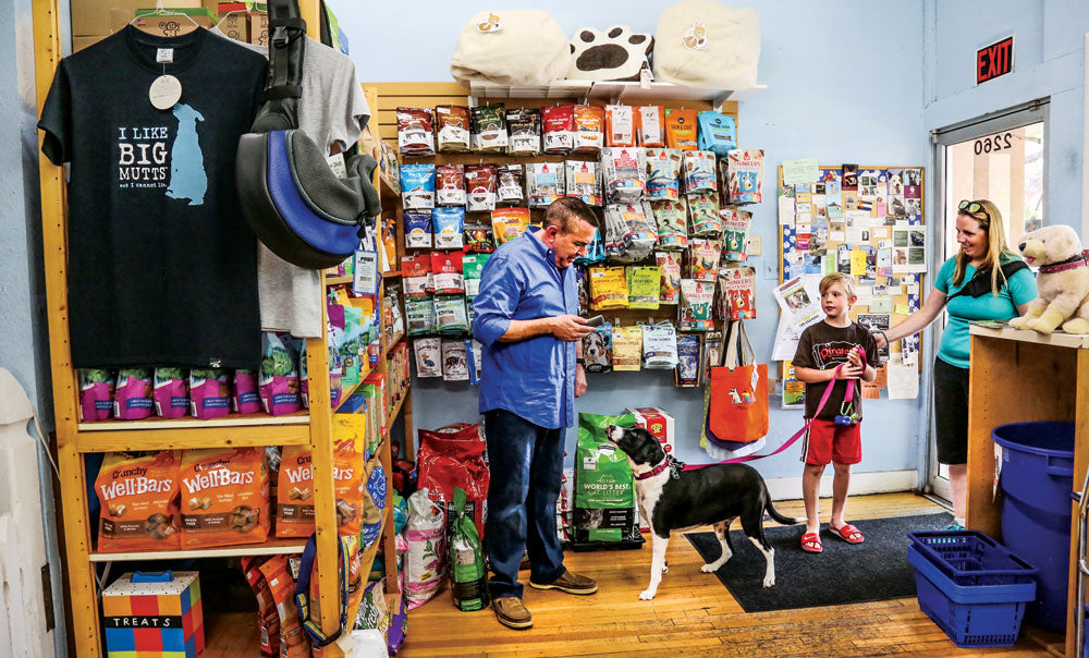 Ciji's Article in the Front Porch