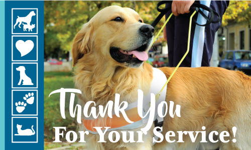 September Is National Service Dog Month!