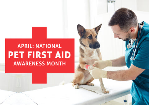 April is First Aid Awareness Month