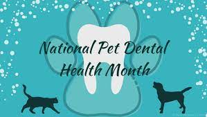 February Is Dental Health Awareness Month!