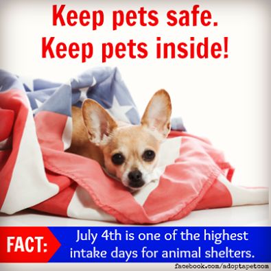 July 4th Safety Pet Saftey Tips
