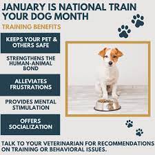 January Is National Train Your Dog Month